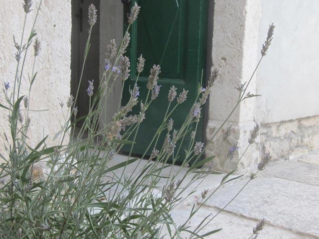 House Palac