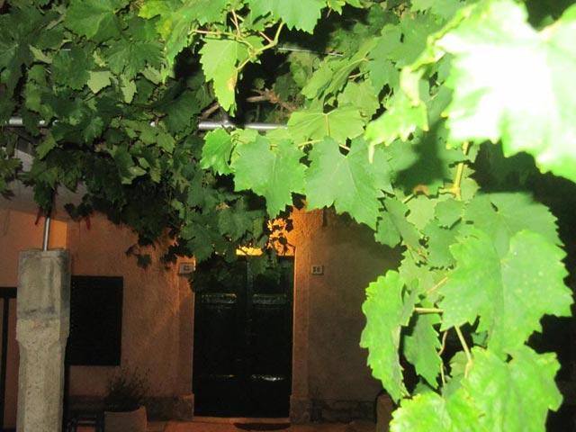 Apartment House Palac Premantura